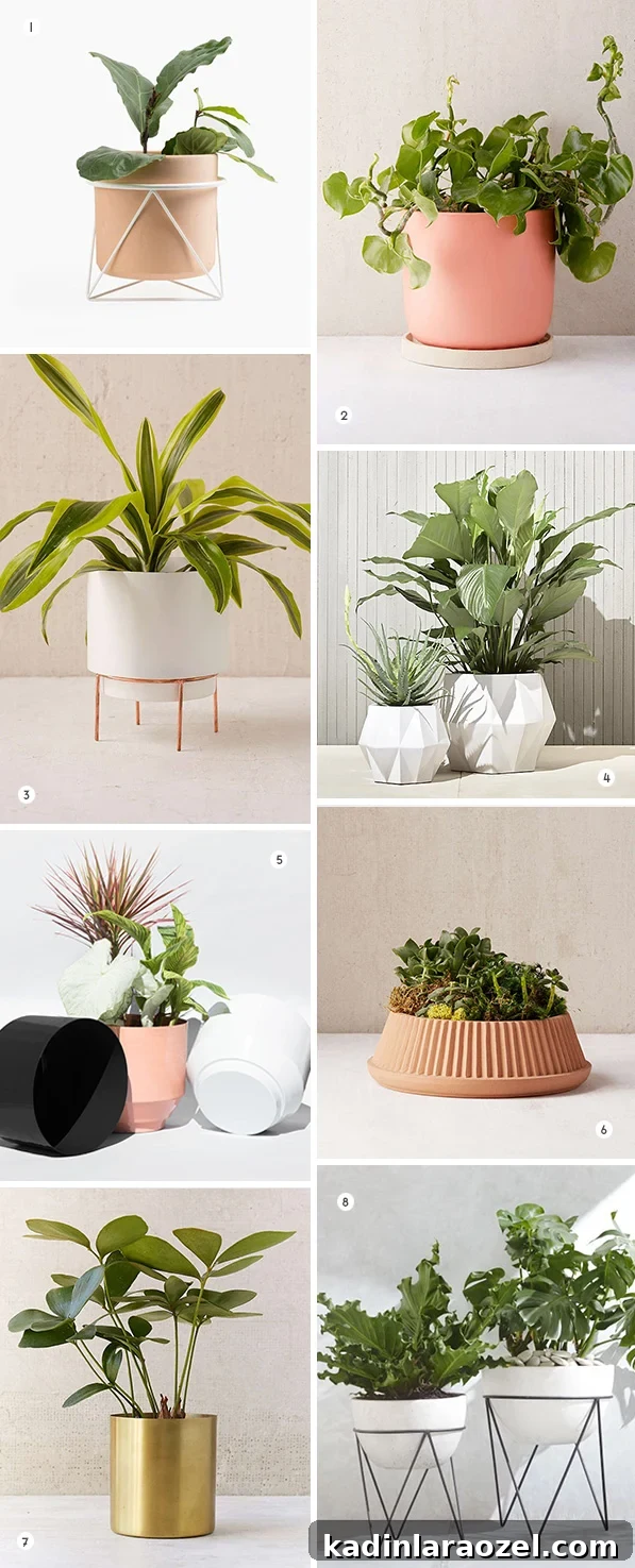 16 Drool-Worthy Planters for Spring / Summer