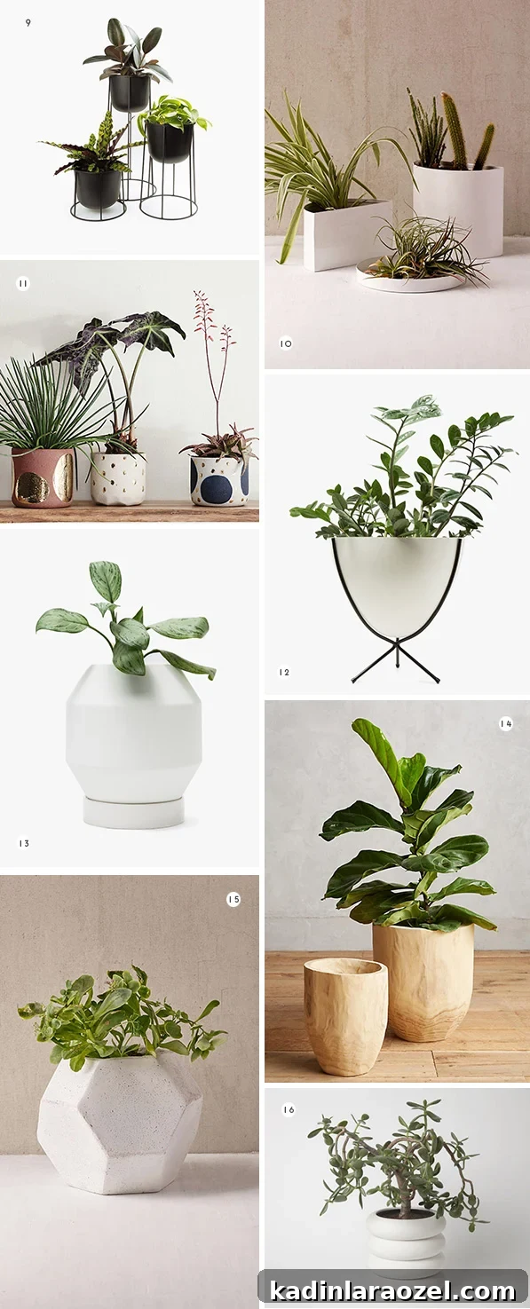 16 Drool-Worthy Planters for Spring / Summer