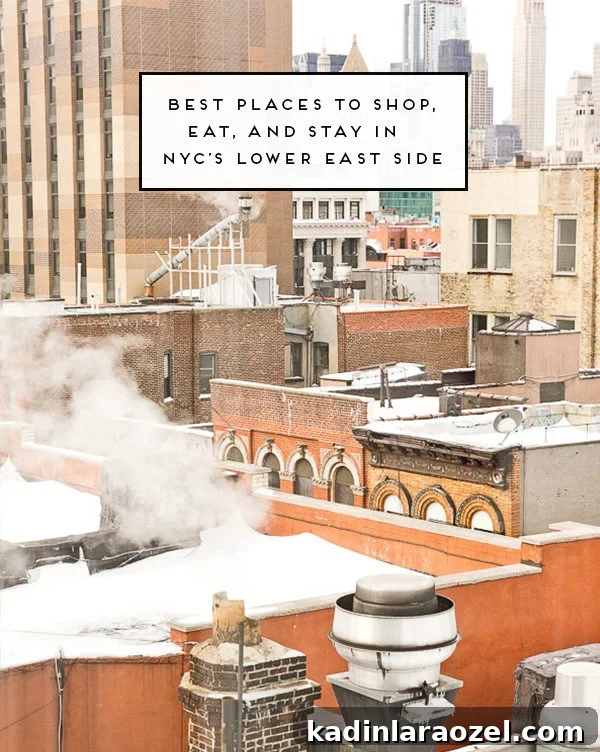 A quick guide to the coolest places to shop, eat, and stay in NYC's lower east side.
