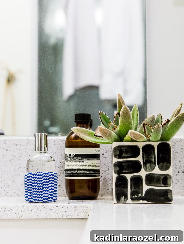 Before and After: My New Master Bathroom Remodel Reveal 6 A minimal bathroom makeover