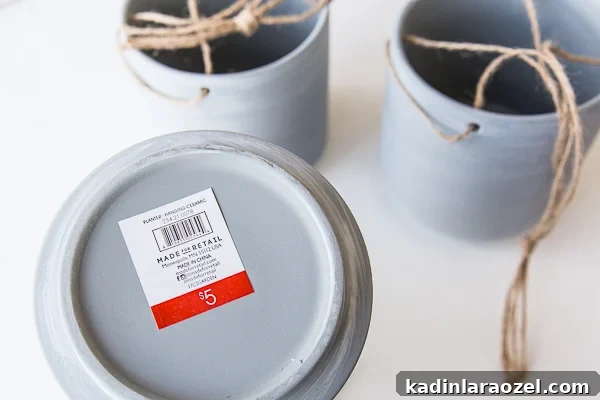 $5 Hanging Planter DIY: Stylish Budget Plant Holder Tutorial 5 This $5 hanging planter DIY is actually a Target hack!