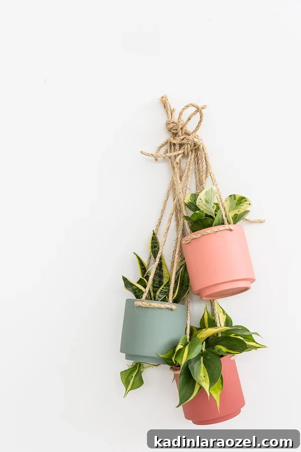 $5 Hanging Planter DIY: Stylish Budget Plant Holder Tutorial 8 A $5 hanging planter DIY