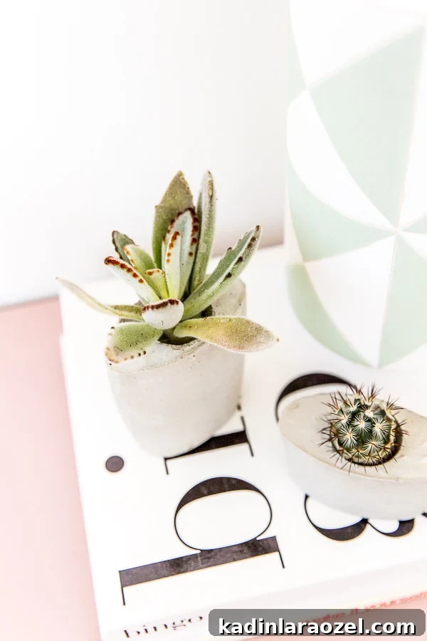 DIY Concrete Planters