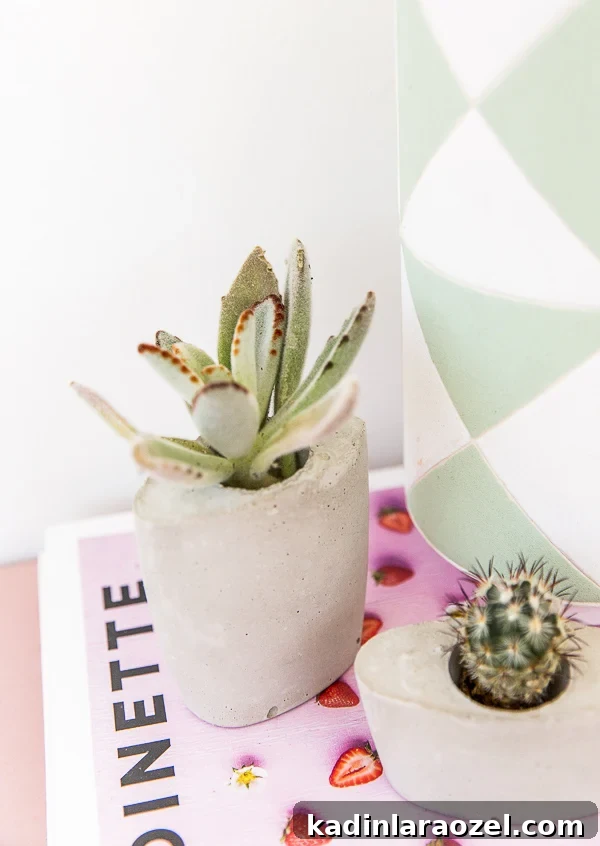 How to Make Concrete Planters