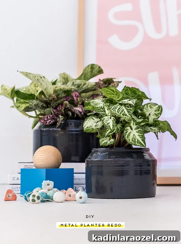 A DIY Metal Planter Makeover in Under an Hour