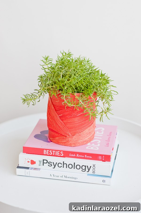 Spring DIY Planters for $2: Stylish Budget Ideas for Your Plants 2 Unique DIY planter idea using an unlikely material (that gives it texture). Click through for the step by step instructions.
