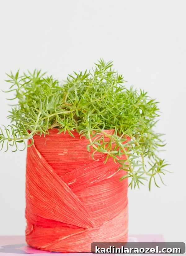 Spring DIY Planters for $2: Stylish Budget Ideas for Your Plants 5 Unique DIY planter idea using an unlikely material (that gives it texture). Click through for the step by step instructions.