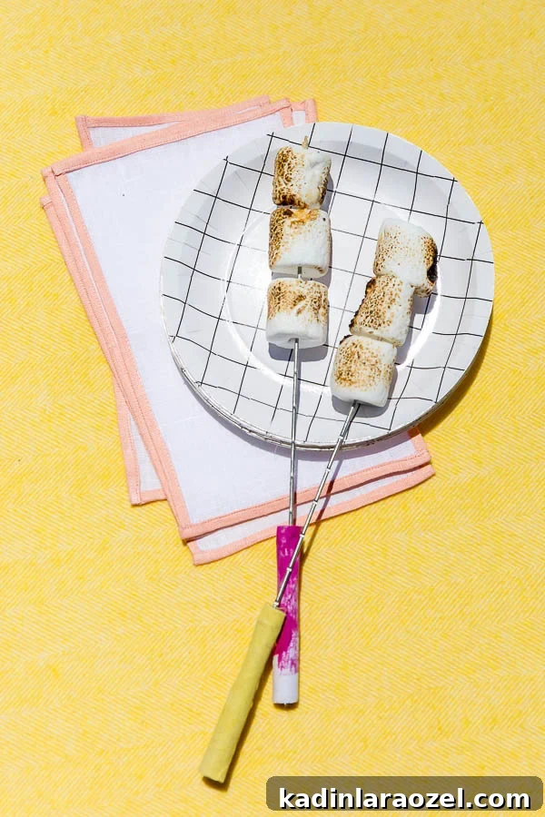 DIY fabric-wrapped s'more sticks. Click through for more colorful outdoor entertaining ideas for summer.