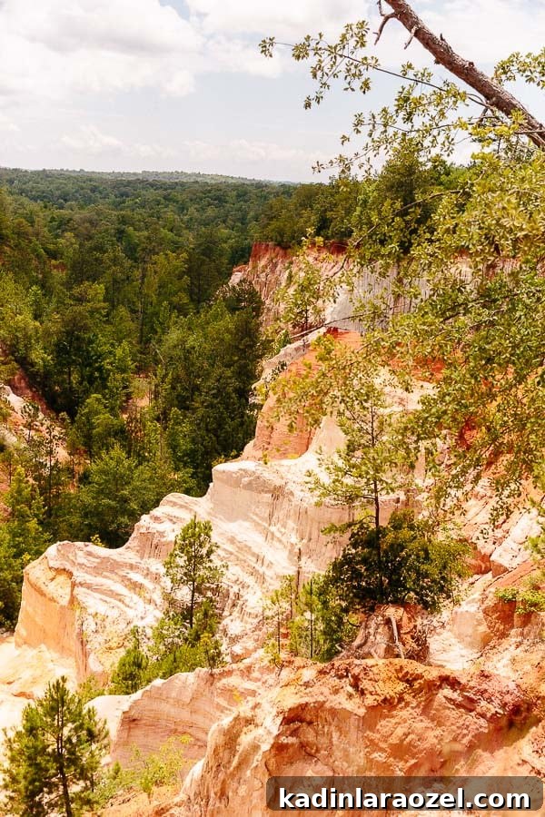 Day Trip from Atlanta to Providence Canyon State Park 12 Providence Canyon, GA