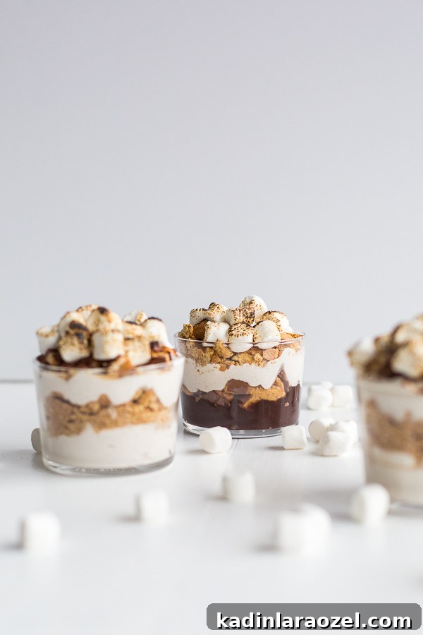 Make-Ahead S'more Cups for Backyard BBQs / Campfire Treats