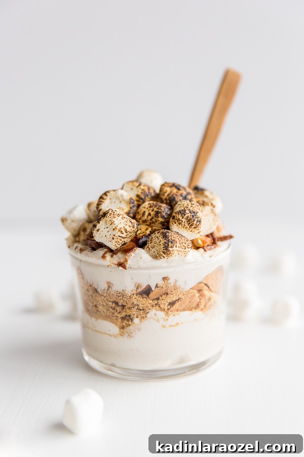 closeup of layered stores cup with toasted marshmallows, graham crackers, chocolate, and a wooden spoon