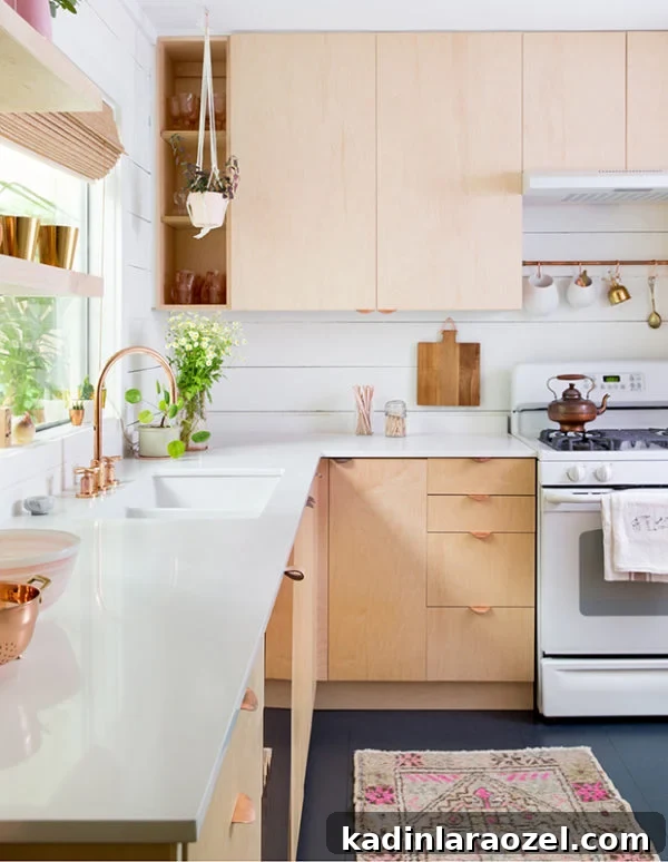 13 Stylish Kitchen Designs to Suit Every Home 7 Kitchen with copper accents
