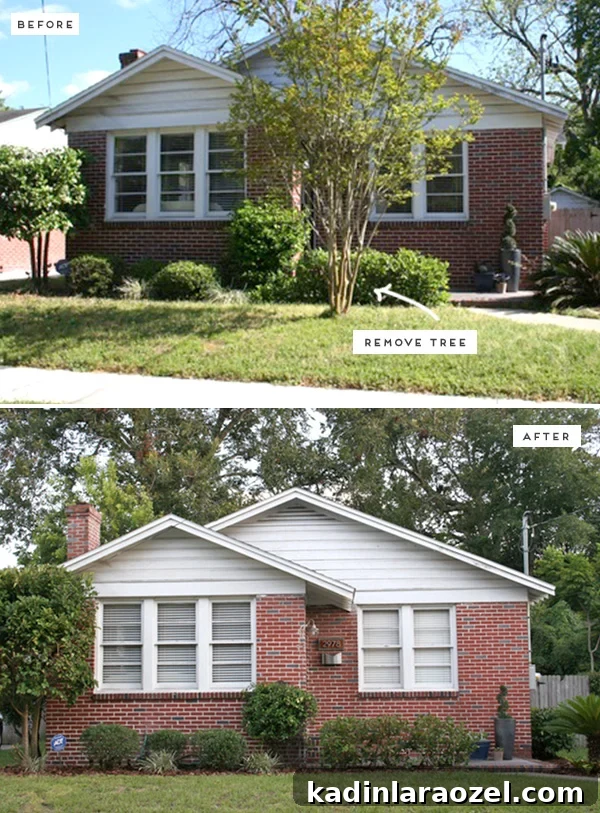 Buying Our First House: The Untold Story Behind Our Home 3 img 81750 2