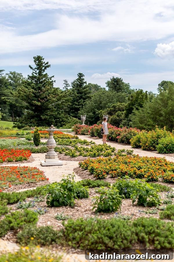 Botanical gardens in Richmond, Virginia with greenery and flowers surrounding large trees