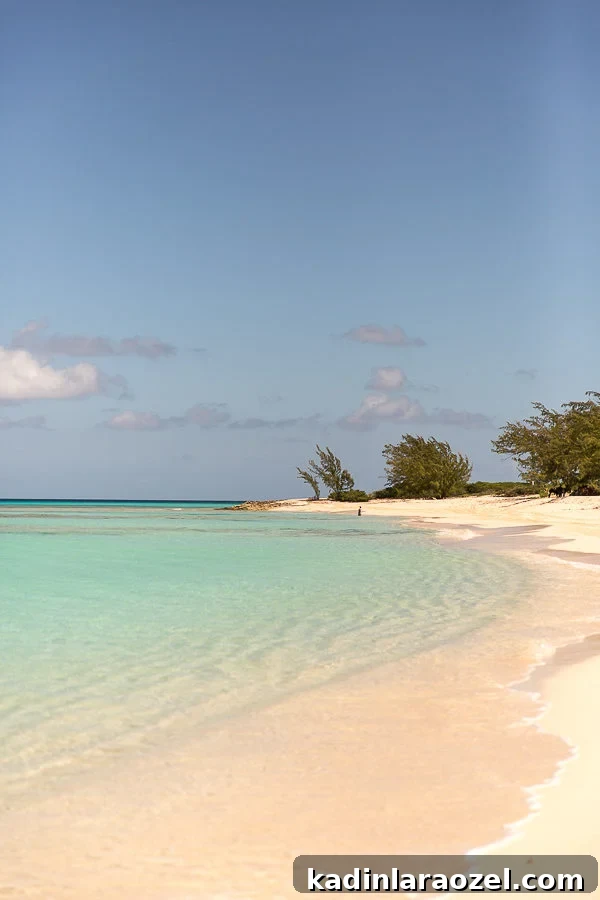 Top Places to Visit in Grand Turk, Turks and Caicos 6 Turks and Caicos (Where to Go in Grand Turk)