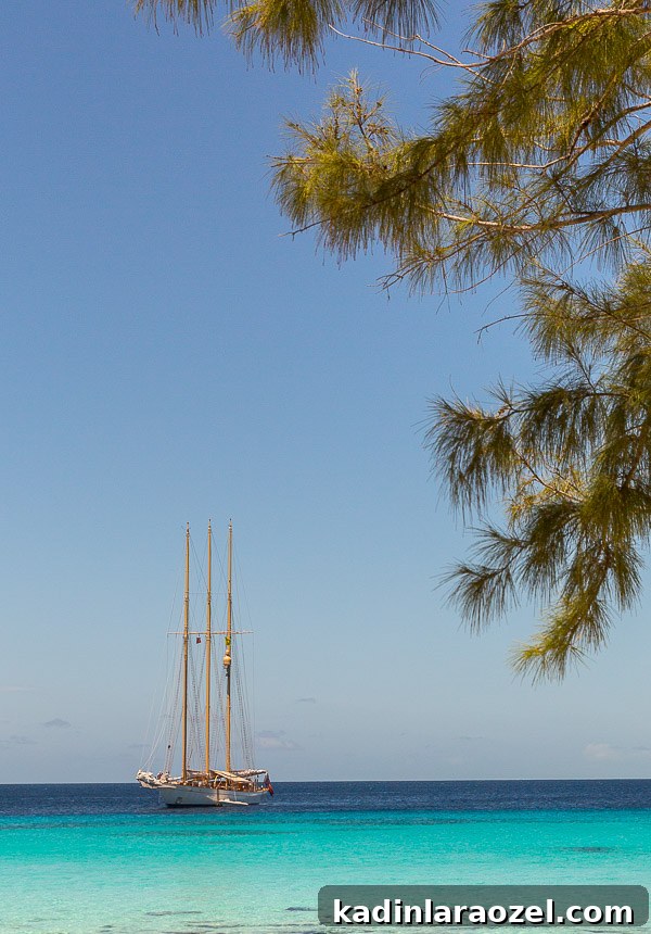 Top Places to Visit in Grand Turk, Turks and Caicos 8 Turks and Caicos