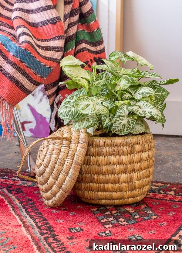 Studio Living Room Reveal: Before and After Transformation Done? 9 Woven beehive basket as a DIY planter