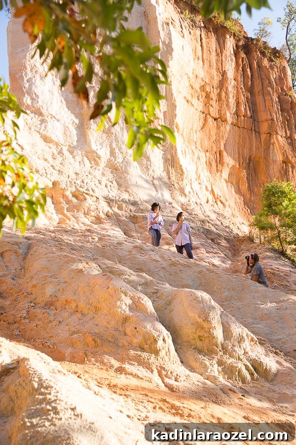 Canyon Dreaming