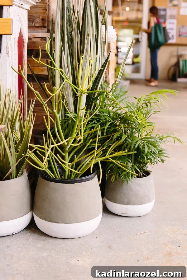 That plant life