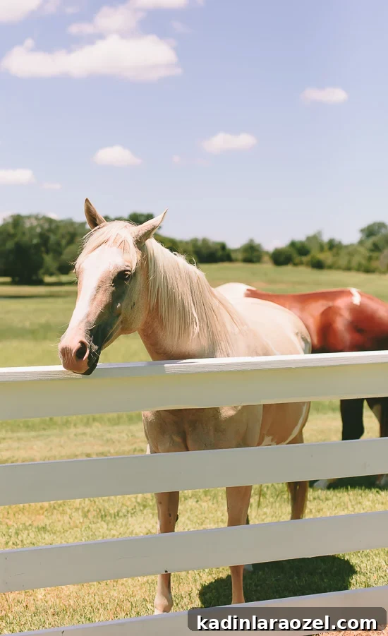 Behind the Scenes: A Weekend in Round Top, TX 6 Round Top, Texas