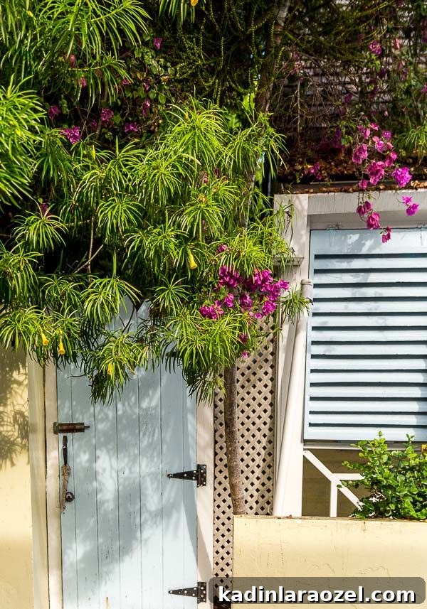 The Colorful House of Harbour Island (North Eleuthera)