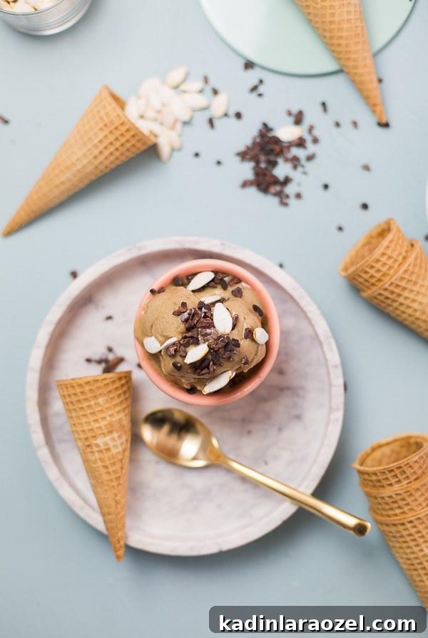 A limited ingredient pumpkin chai nice cream recipe for fall. So easy and delicious. #nicecream #dessert #pumpkinchai