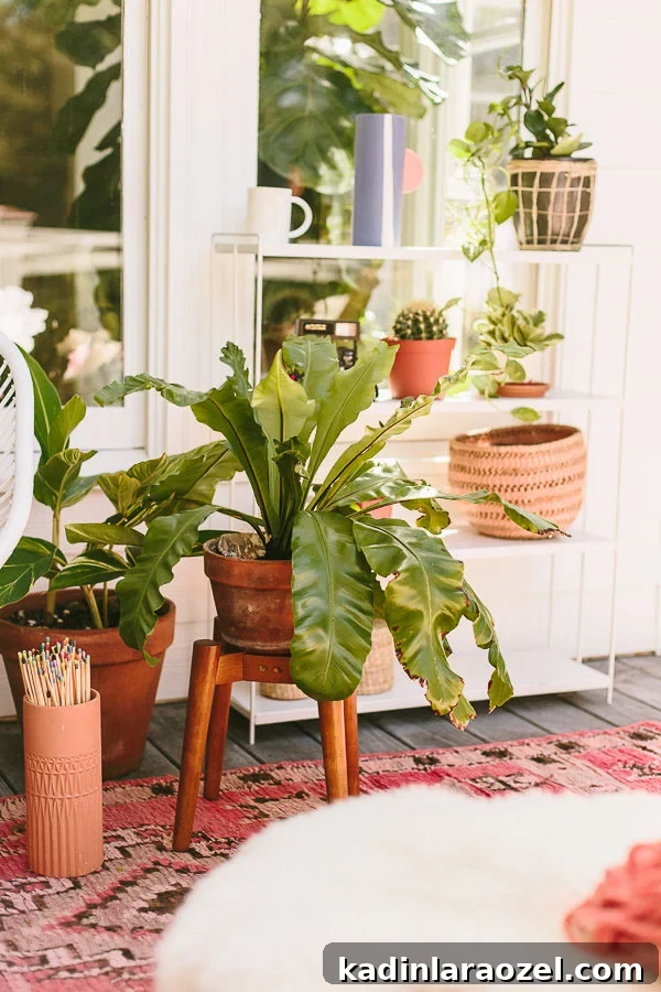 A cozy modern outdoor living space, filled with plants and patterned textiles. #outdoorliving