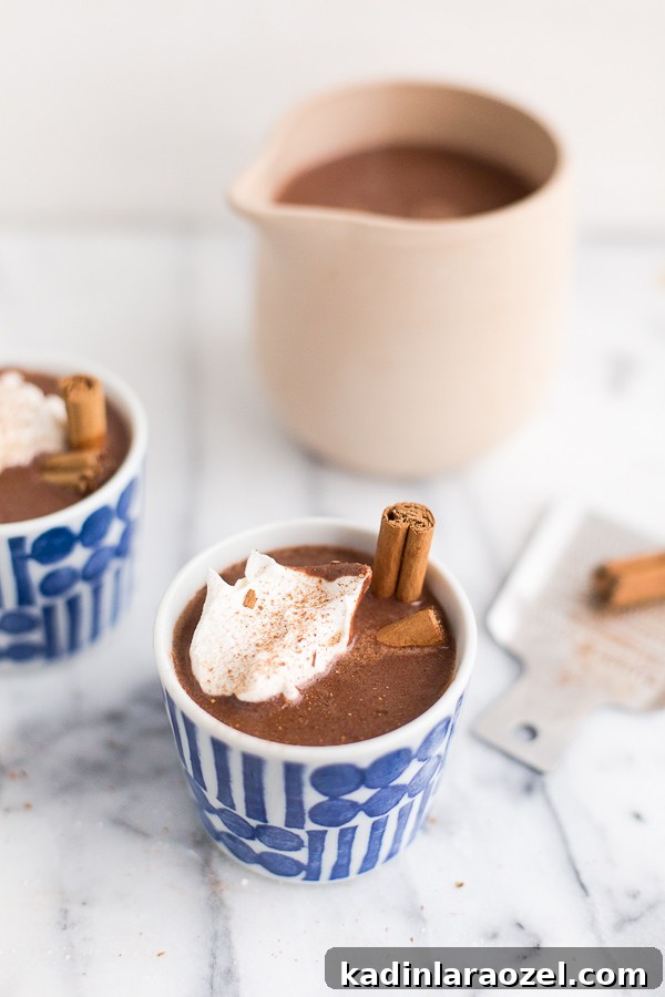 Red Wine Hot Chocolate with Homemade Whipped Cream Recipe 2 Make this red wine hot chocolate for a rich, boozy option to your standard winter drink. This recipe is easy to make and delicious. #redwine #hotchocolate #winter #recipe #yum #drinkrecipe #cinnamon