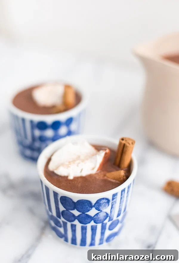 Red Wine Hot Chocolate with Homemade Whipped Cream Recipe 3 Make this red wine hot chocolate for a rich, boozy option to your standard winter drink. This recipe is easy to make and delicious. #redwine #hotchocolate #winter #recipe #yum #drinkrecipe