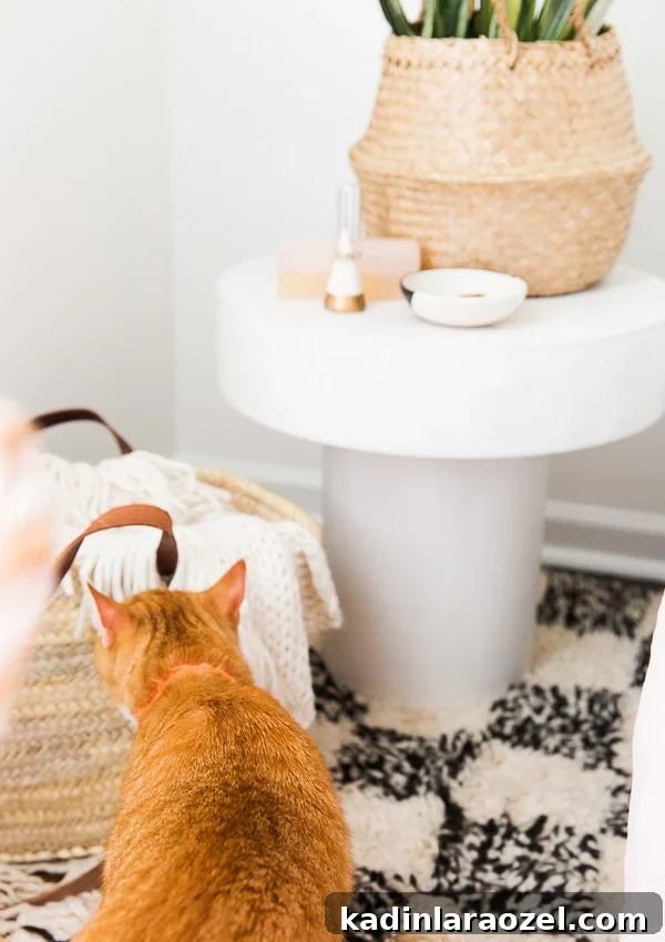 Behind the Scenes: Chocolate-Inspired Color Palette Ideas 2 Photo bombing cat behind the scenes at an interiors shoot.