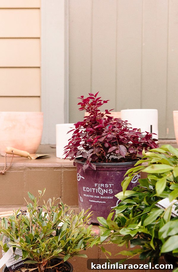 Spring Porch Plant Ideas & DIY Totem Planters for Small Spaces 4 Closeup plants in planters on front porch for makeover.