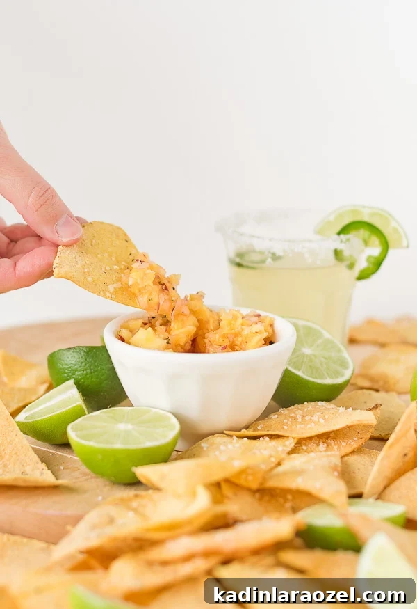 Homemade Lime Tortilla Chips and 3 Salsas for Cinco de Mayo 6 Homemade Lime Chips and (Three) Salsa Recipes for Cinco de Mayo. #chipsandsalsa #homemadechips #homemadesalsa #cincodemayo #recipe