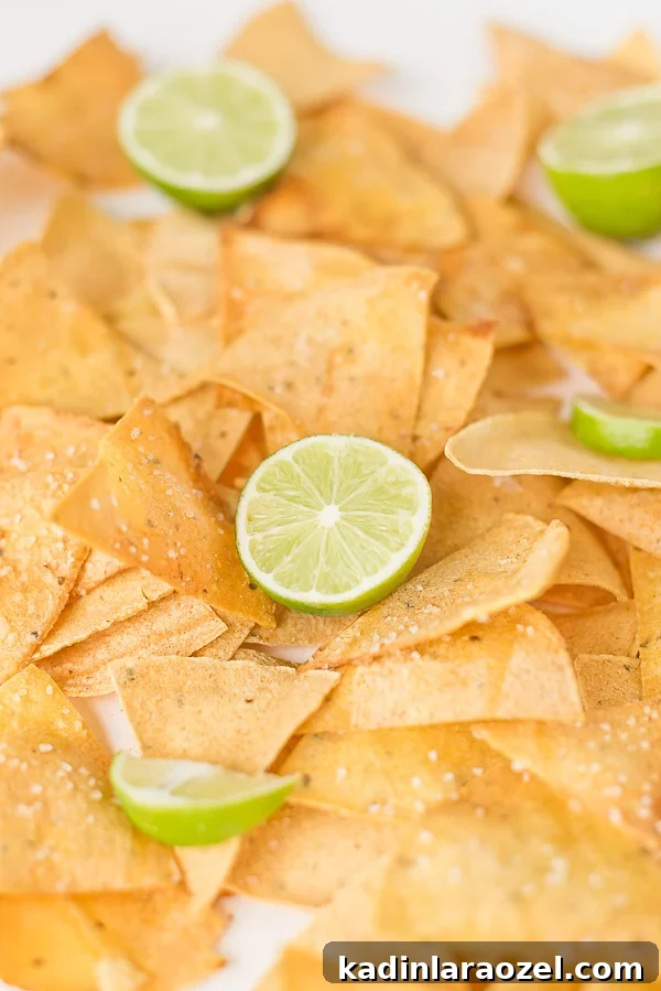 Homemade Lime Tortilla Chips and 3 Salsas for Cinco de Mayo 7 Homemade Lime Chips and (Three) Salsa Recipes for Cinco de Mayo. #chipsandsalsa #homemadechips #homemadesalsa #cincodemayo #recipe