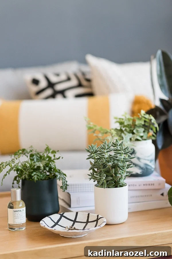 Turn Empty Candle Jars into Stylish Planters in Minutes 4 Easy Planter Hack: How to Convert Used Candle Containers to Cool Planters in Minutes. #diyplanter #diy #planterideas