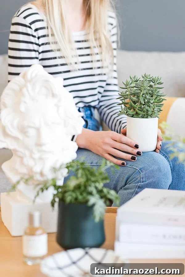 Turn Empty Candle Jars into Stylish Planters in Minutes 5 Easy Planter Hack: How to Convert Used Candle Containers to Cool Planters in Minutes. #diyplanter #diy #planterideas