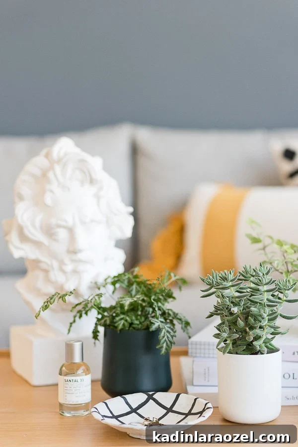 Turn Empty Candle Jars into Stylish Planters in Minutes 6 Easy Planter Hack: How to Convert Used Candle Containers to Cool Planters in Minutes. #diyplanter #diy #planterideas