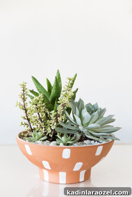 White brushstroke pattern painted onto simple terra-cotta planter with succulents in it.