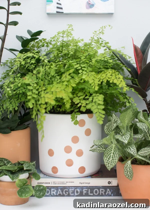 A simple DIY planter design with a polka dot pattern featuring a fern inside.
