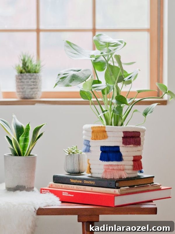 Boho fringe DIY planter idea with colorful fringe and lots of texture. Plant sitting by window.