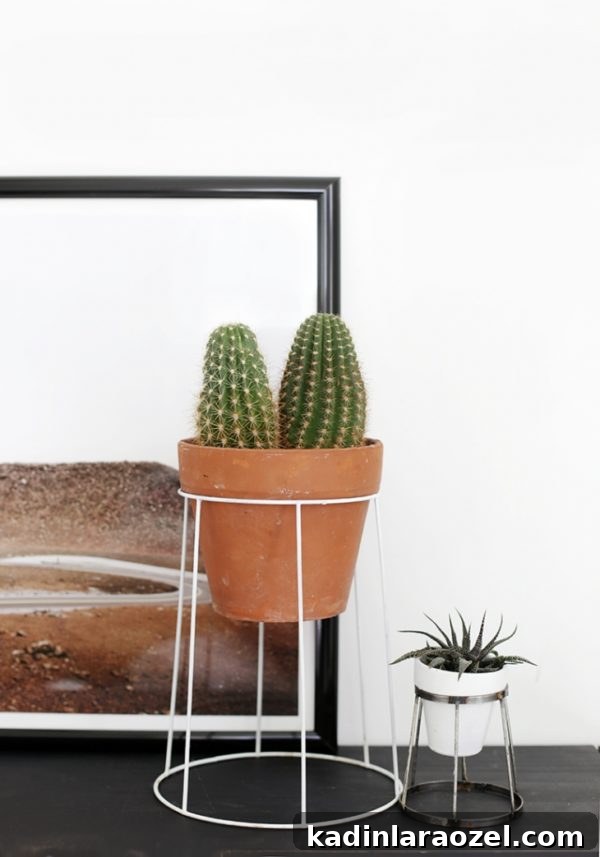 DIY Plant Stands using old lampshades sitting on desk with artwork behind it.