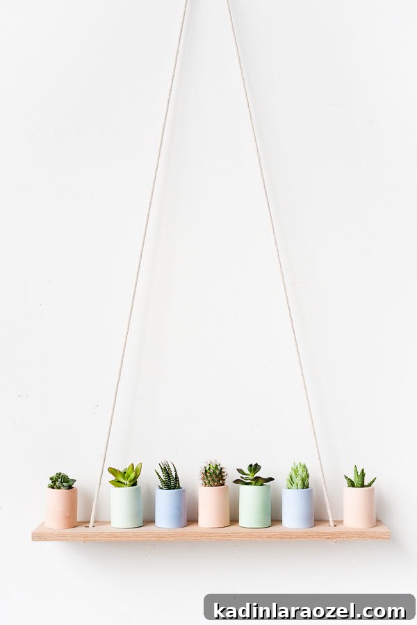 DIY colored plaster mini planters all lined up on a simple wood wall shelf.