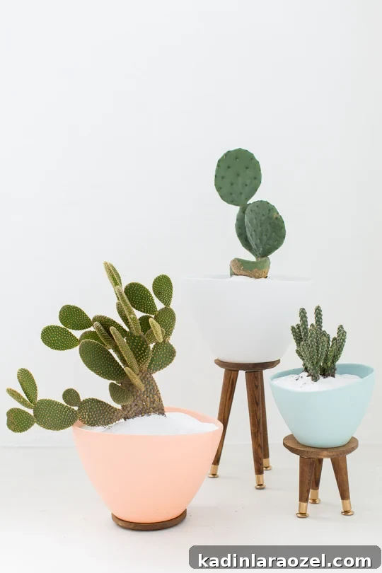 Mid-Century Modern DIY Plant Stand with cool cacti for a Palm Springs look.