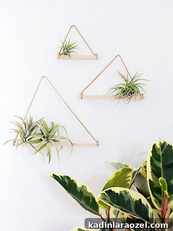 DIY airplant wall hangers in triangle shapes made of copper and wood.