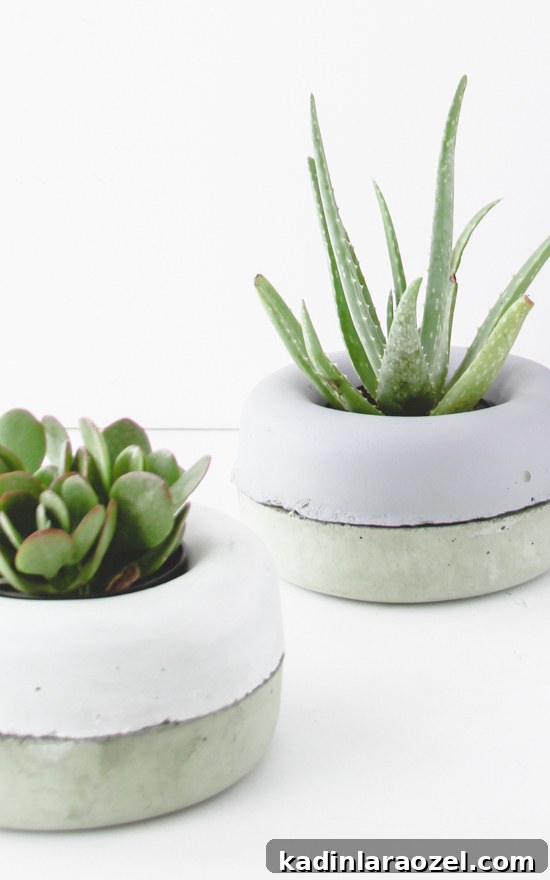 Modern concrete planters in pastel colors with succulents inside.