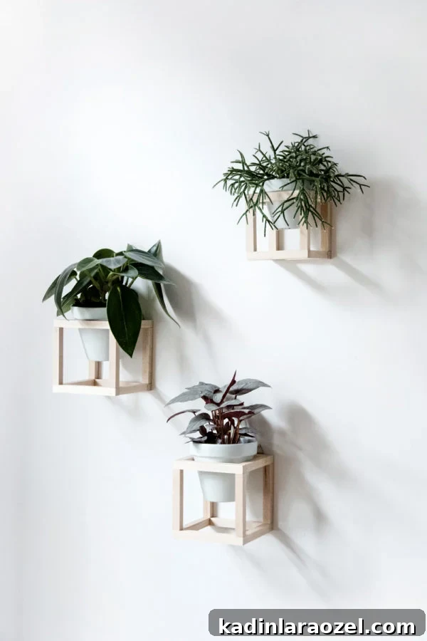 Modern, minimal wood planters for hanging plants on the wall.