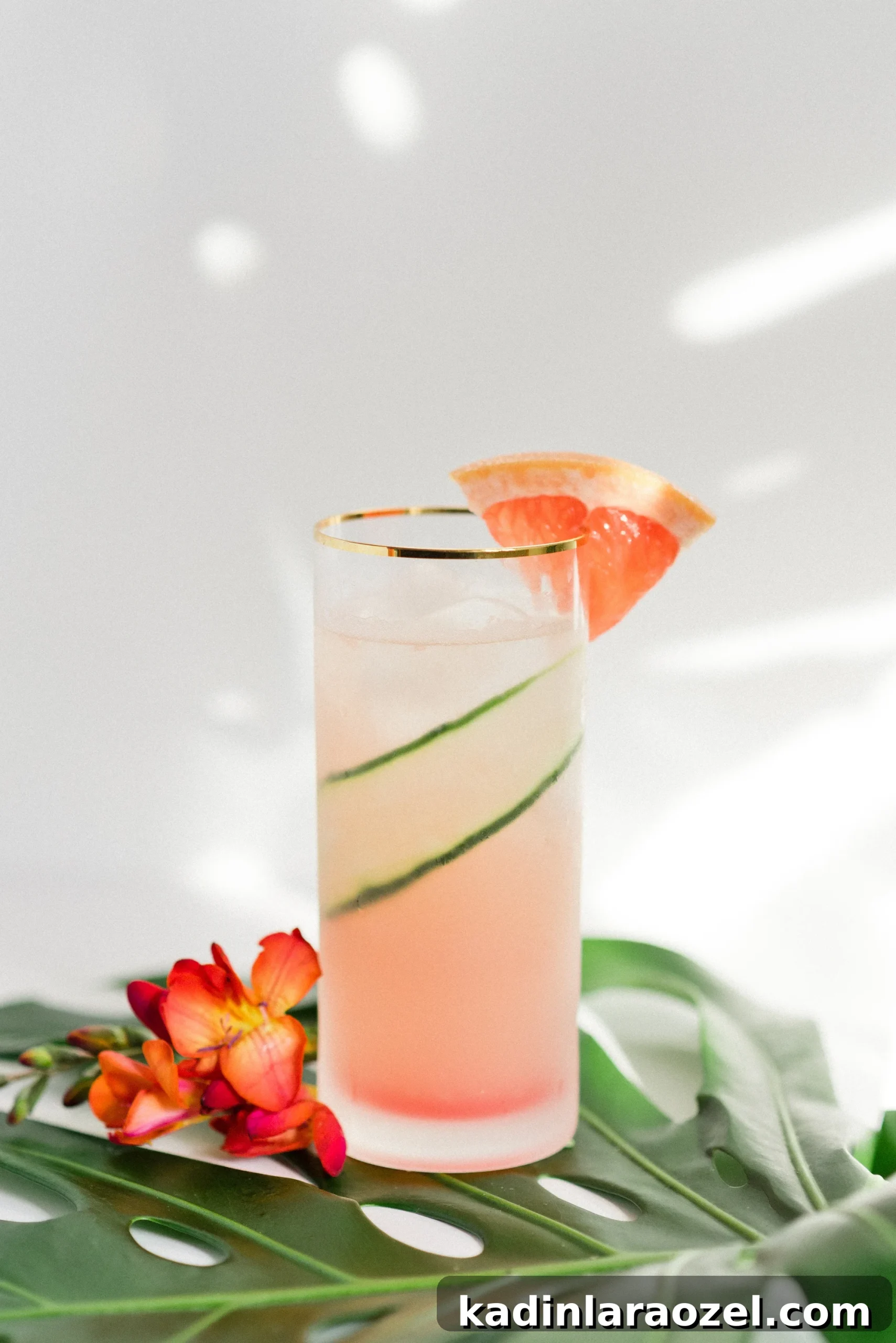 single tall glass of pink cocktail with grapefruit slice and ribbon of cucumber