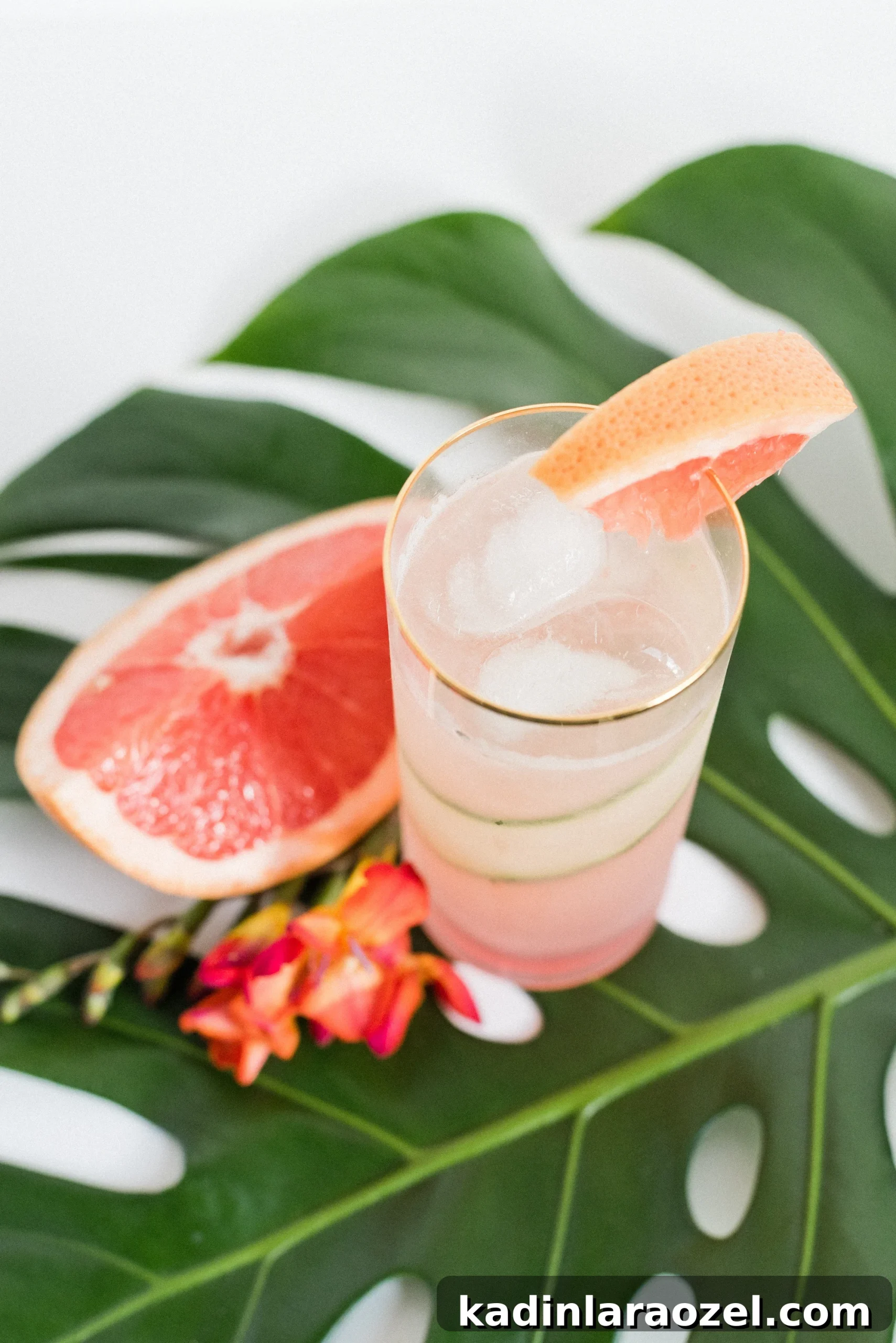 pink grapefruit cocktail with cucumbers resting on palm frond