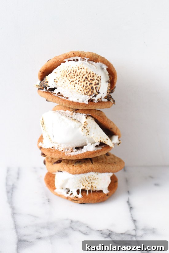 Almost July: 42 Fourth of July Recipes to Try This Summer 31 Unique S'mores Recipes. Check out 42 of the Best Summer Recipes to Get you Ready for July Fourth.