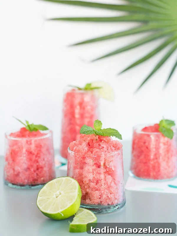 Watermelon Granita Recipe: Refreshing Melon Head Granita (Alcohol Optional) 2 Salted watermelon granita mojito with mint sprig in short glasses.