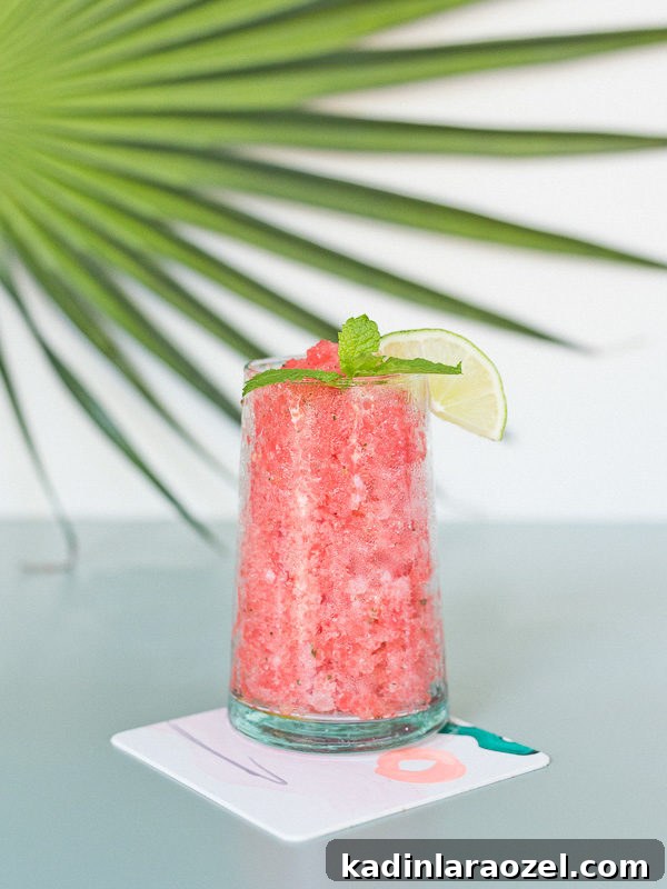 Watermelon Granita Recipe: Refreshing Melon Head Granita (Alcohol Optional) 3 Salted watermelon granita mojito with mint sprig in tall glass.